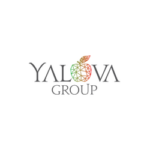 yalova-grup